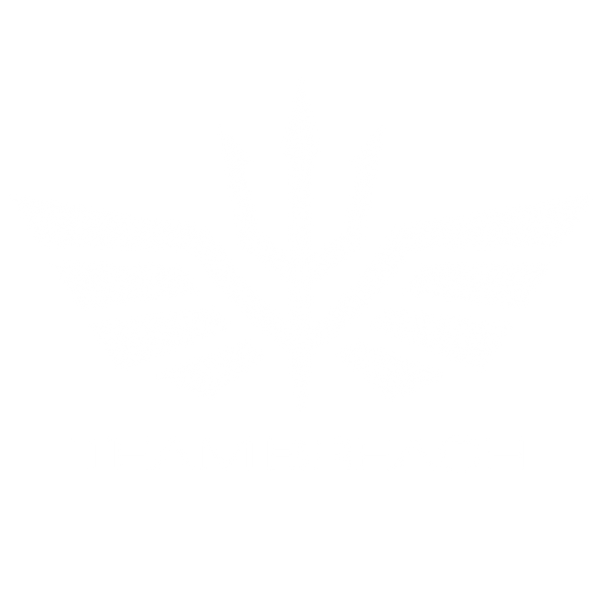Team Breach